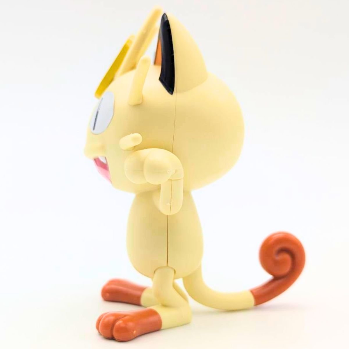 20260806poke (16)