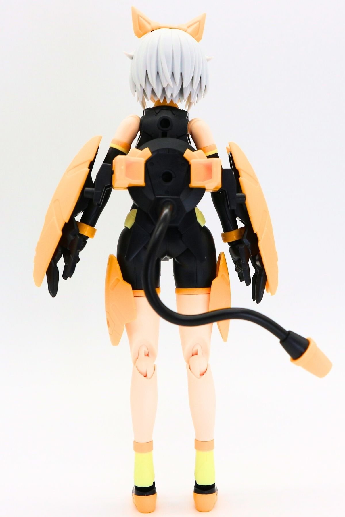 251111rishetfreesia30