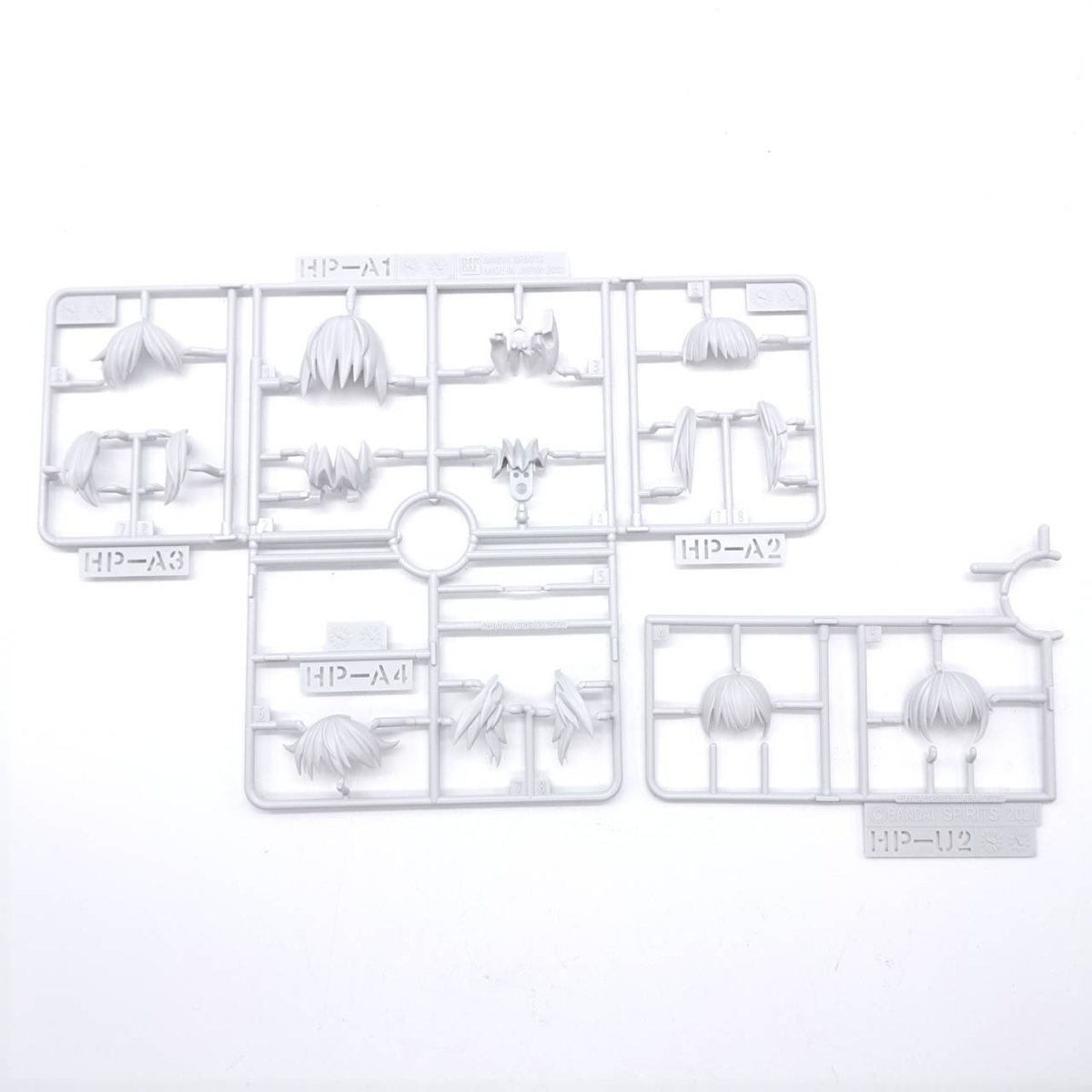 260122rishettaiglight-10