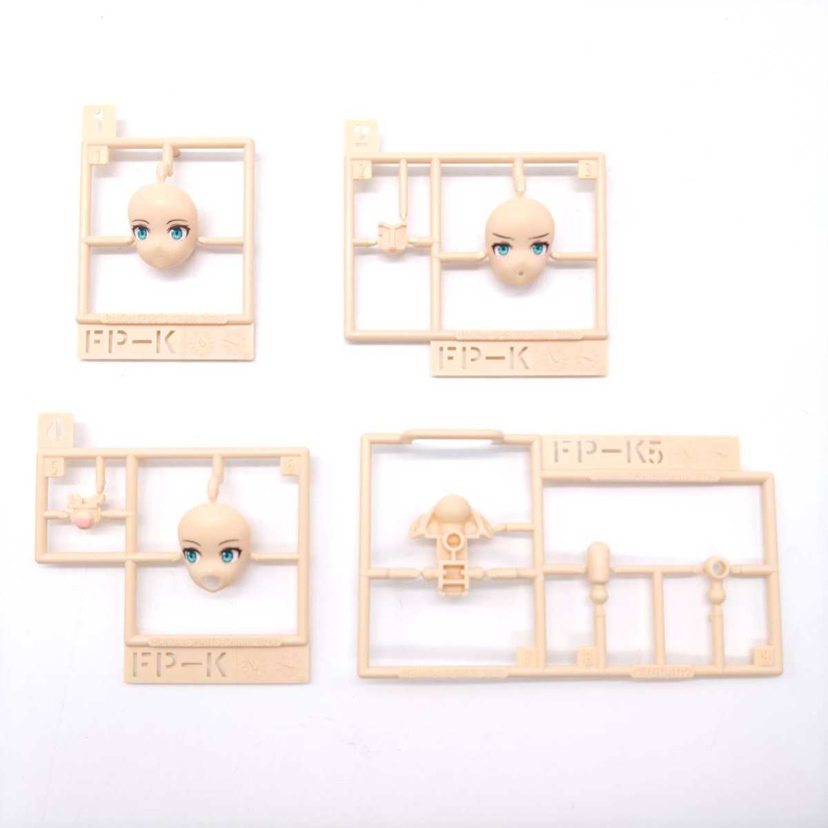 260122rishettaiglight-11