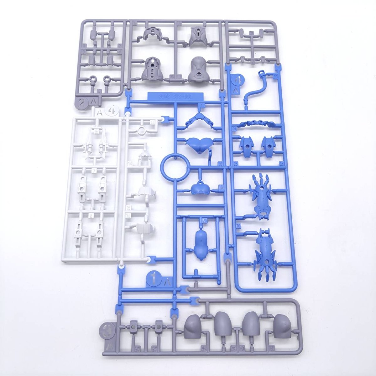 260122rishettaiglight-4-2