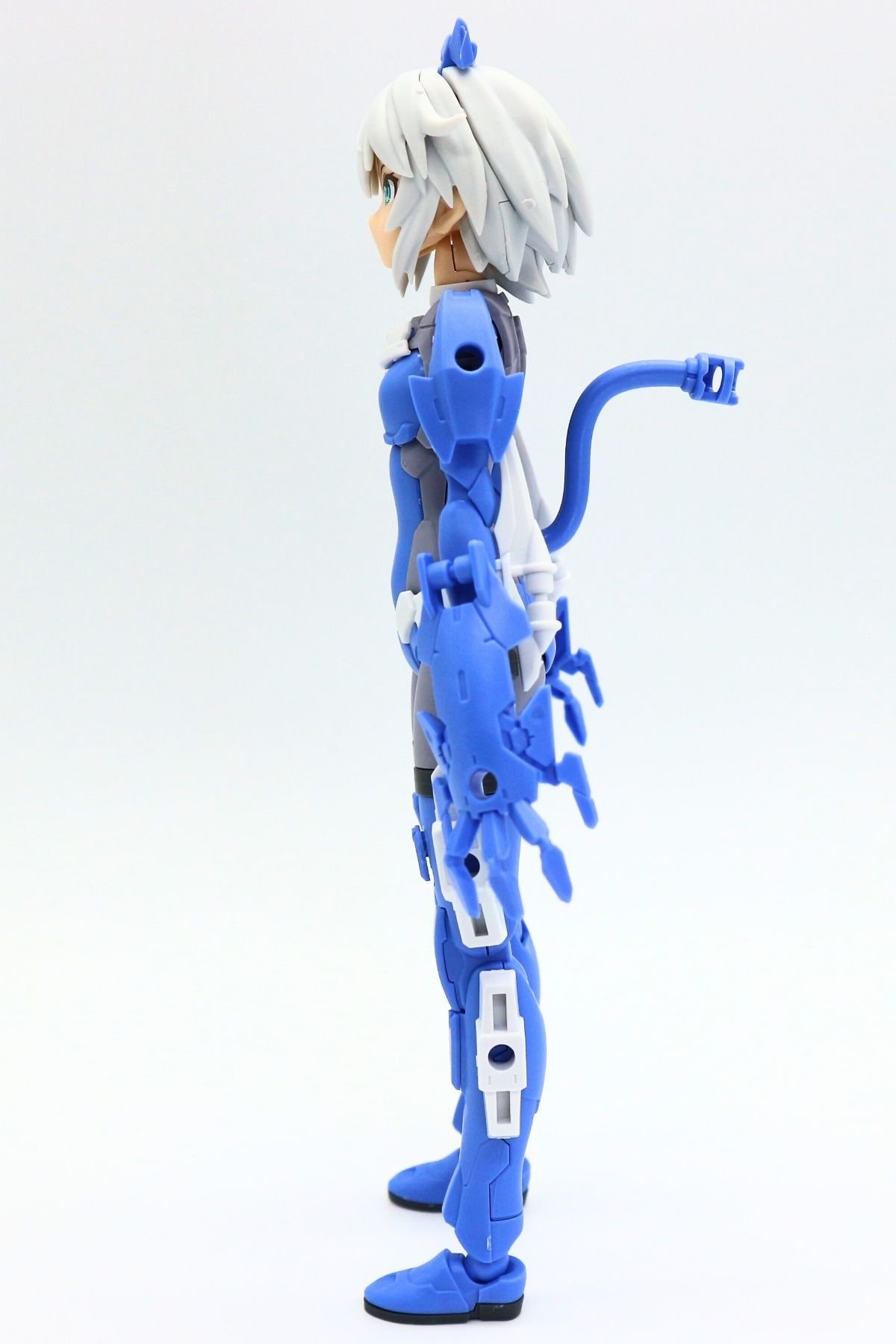 260122rishettaiglight (25)