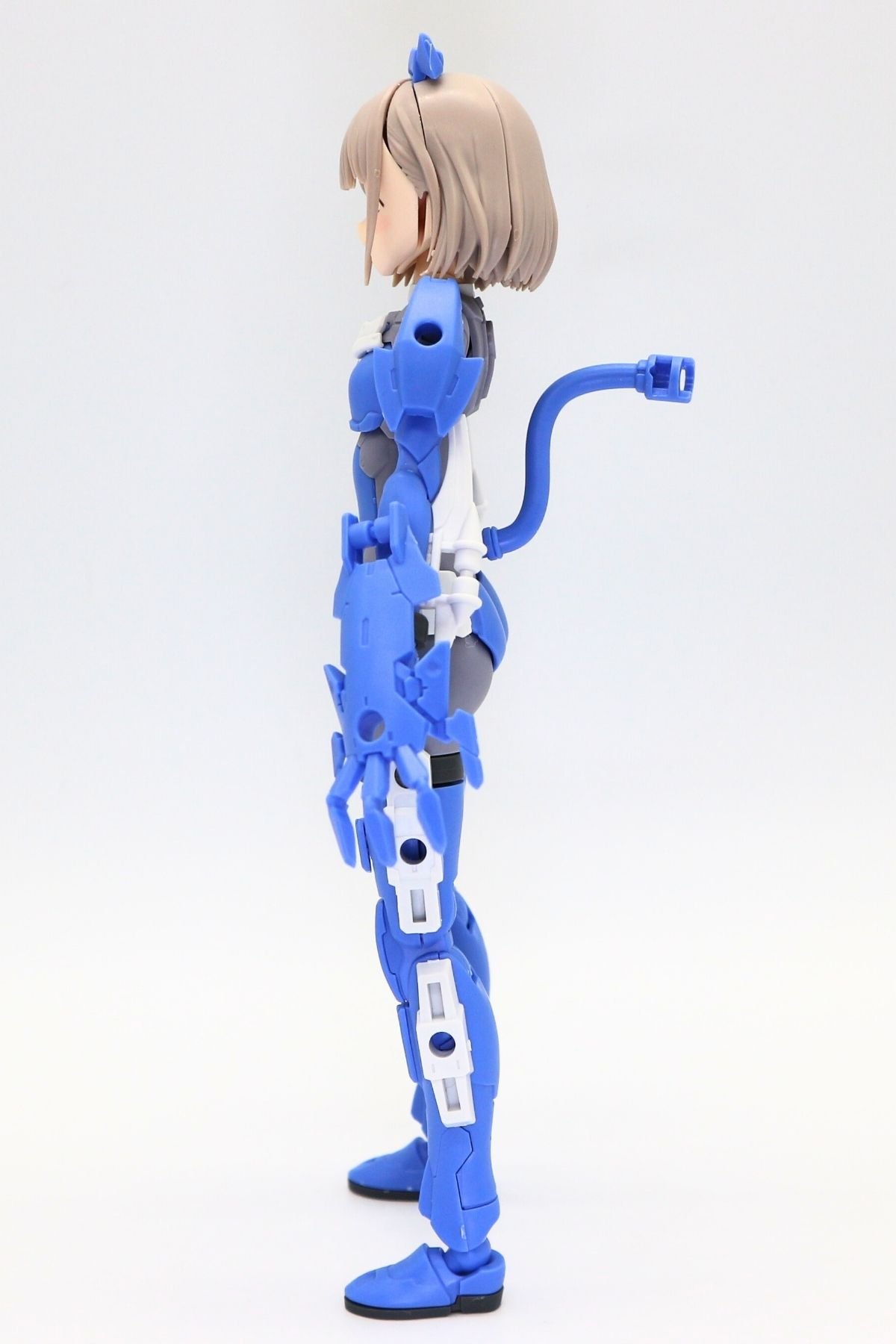 260122rishettaiglight (35)