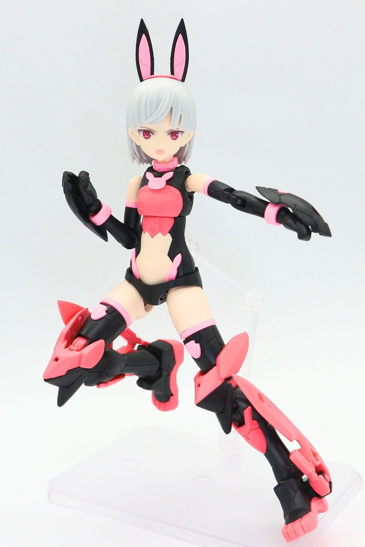 260227laranel (24)