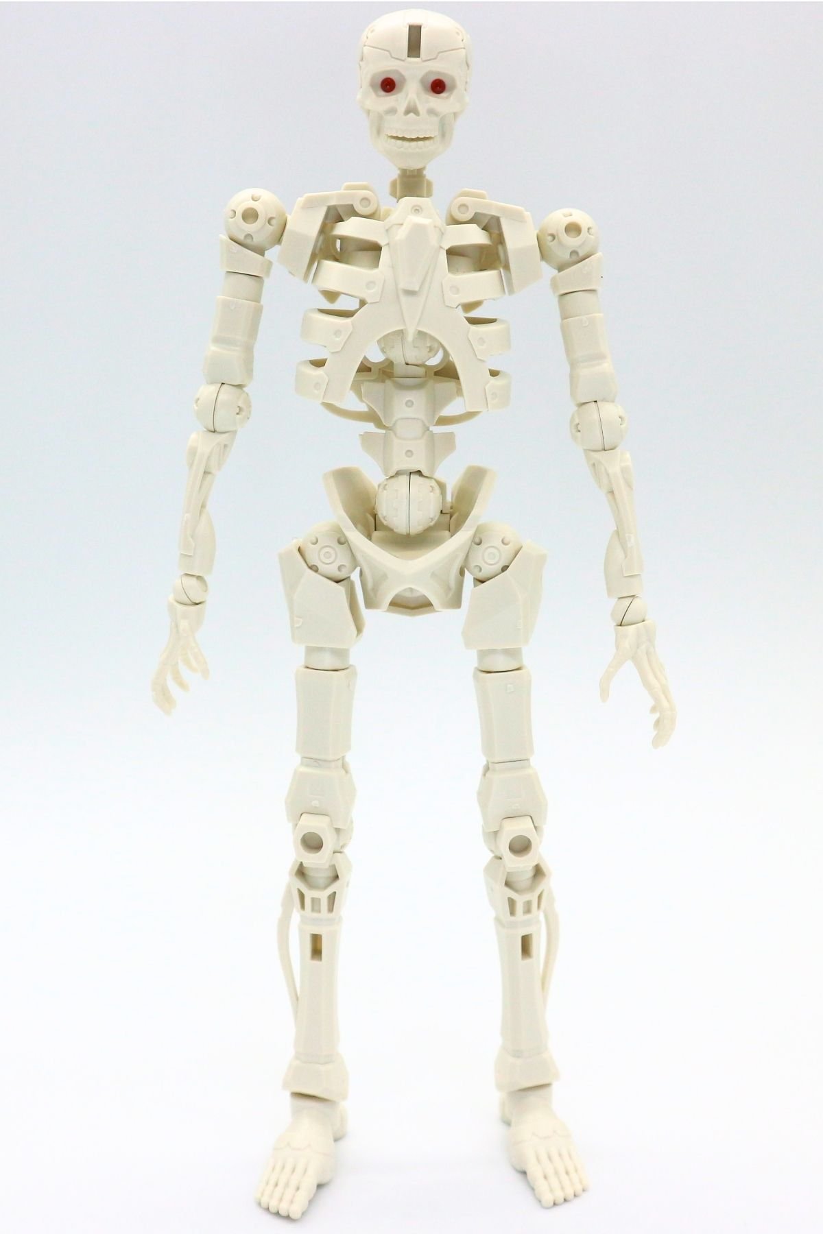 260908skeleton (10)