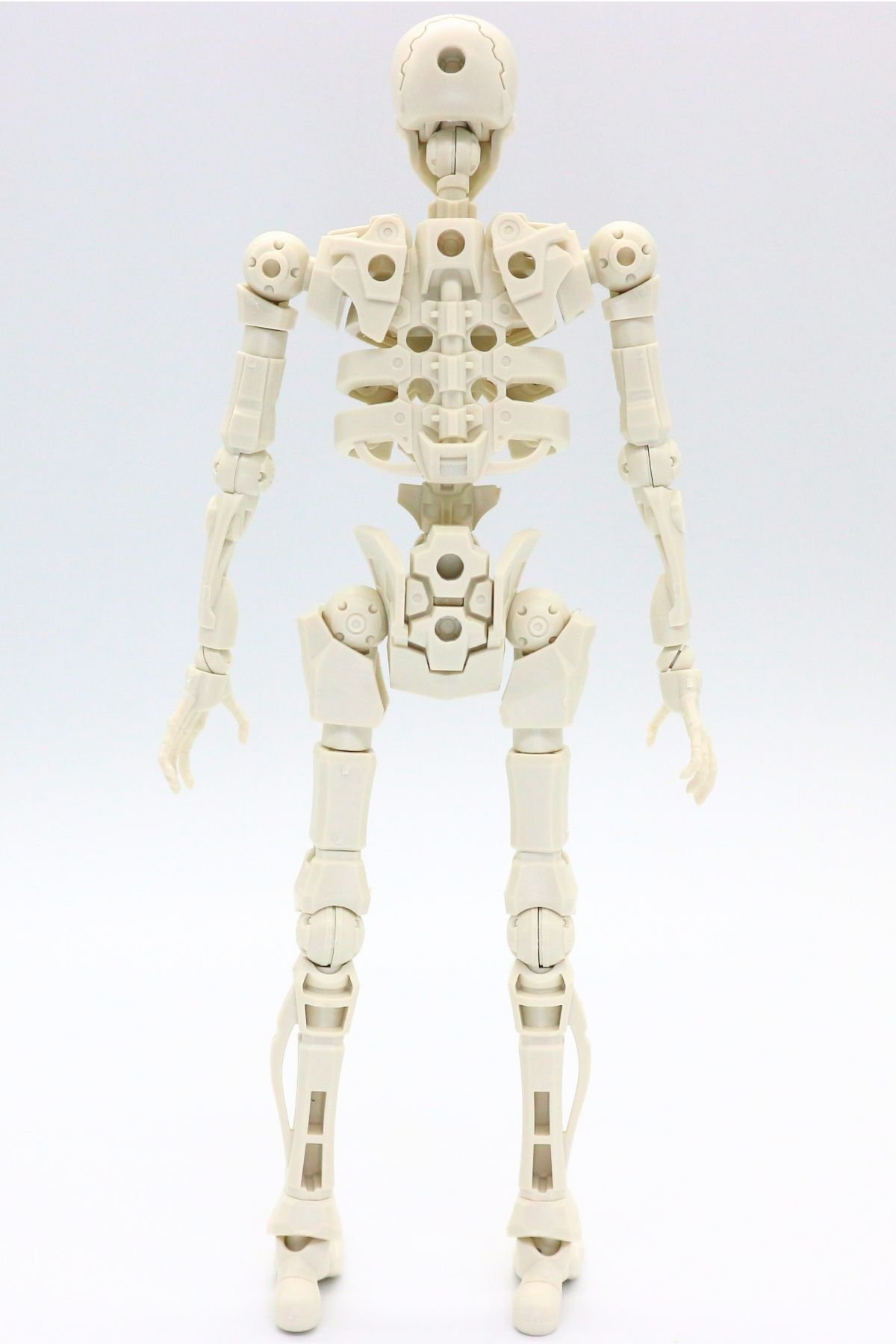 260908skeleton (12)