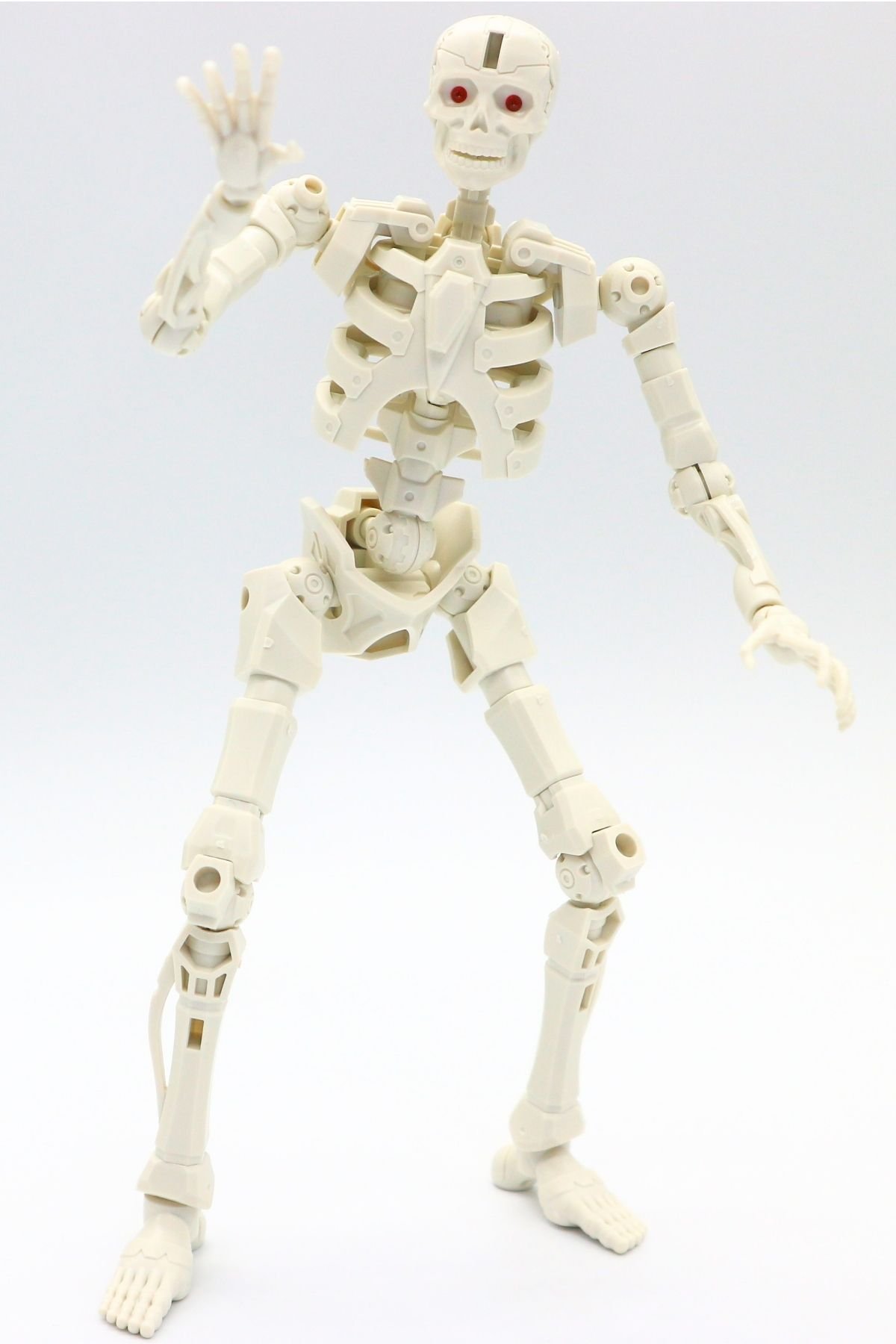 260908skeleton (14)