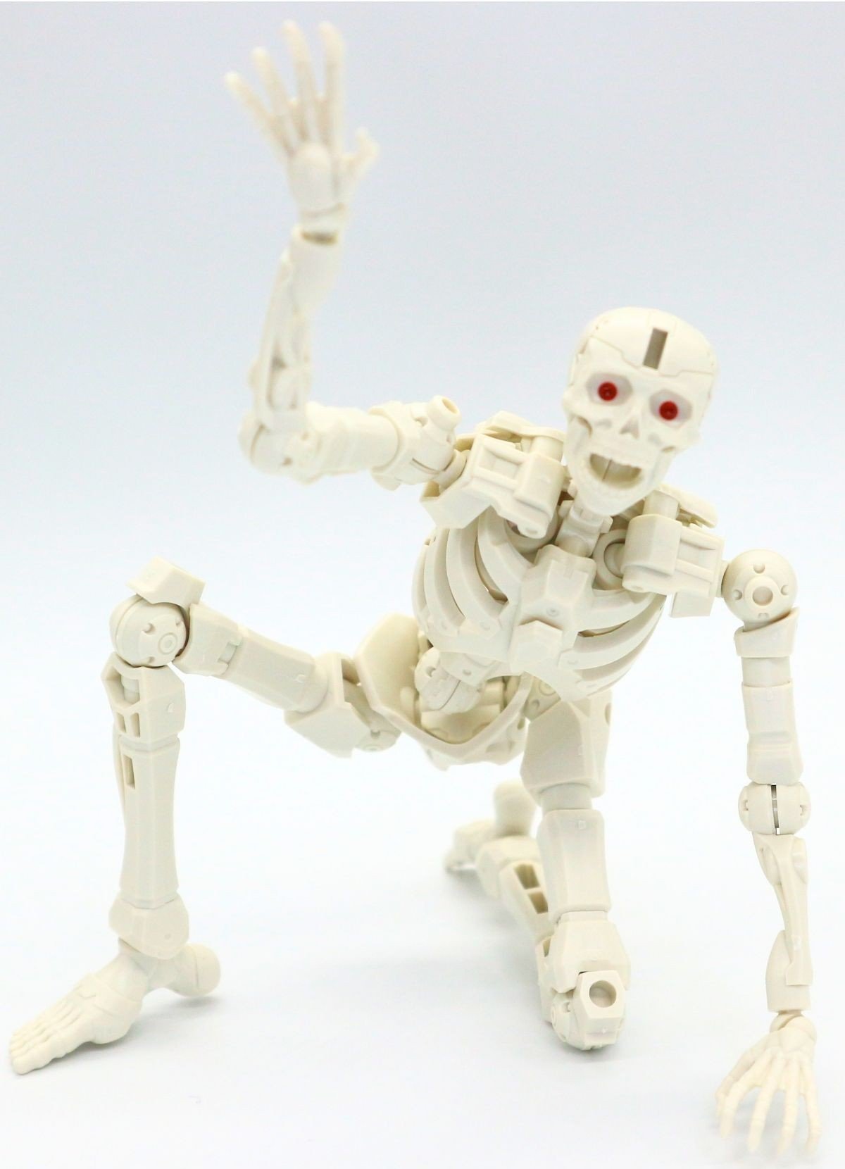 260908skeleton (16)