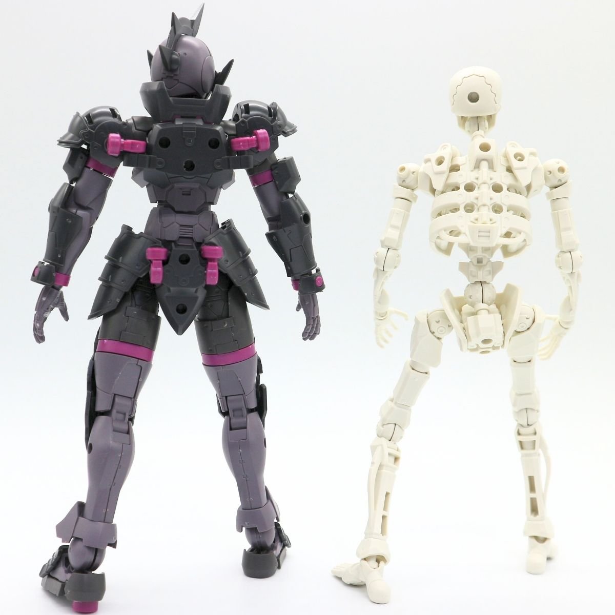260908skeleton (24)