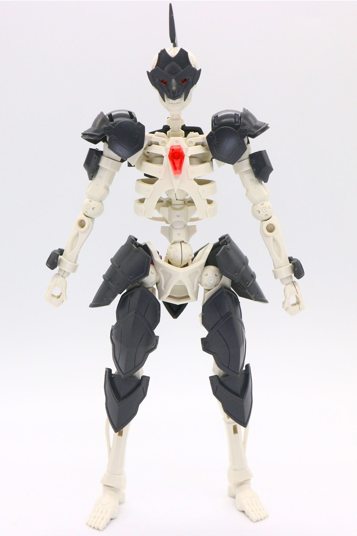 260908skeleton (30)
