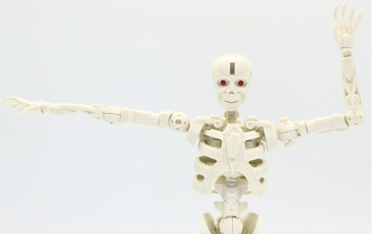 260908skeleton (4)