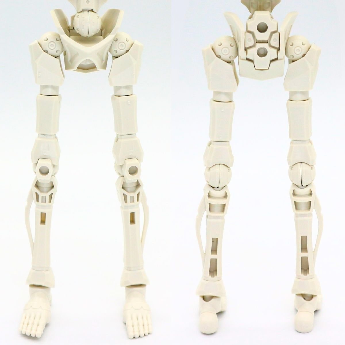 260908skeleton (5)