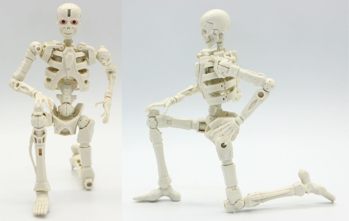 260908skeleton (7)