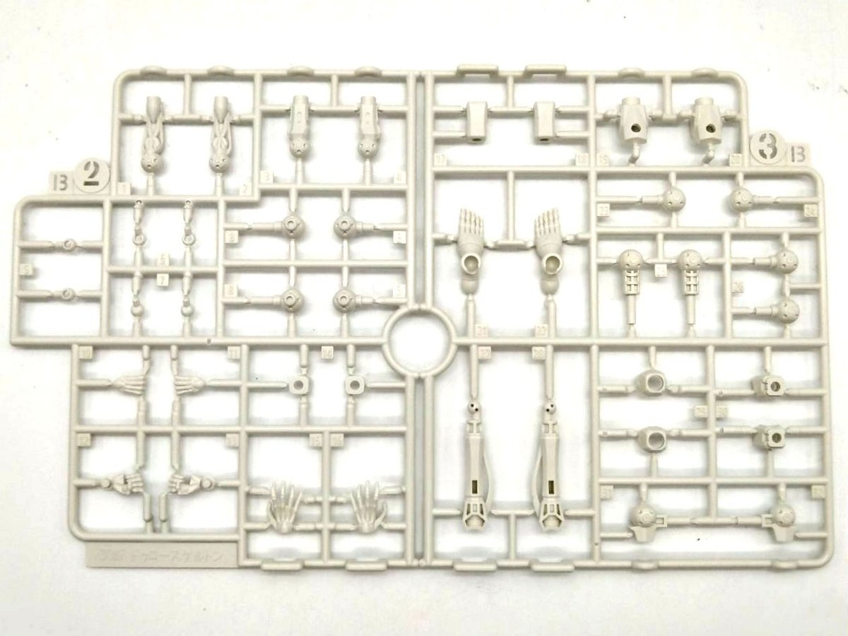 30mf-dlrowskeleton-10