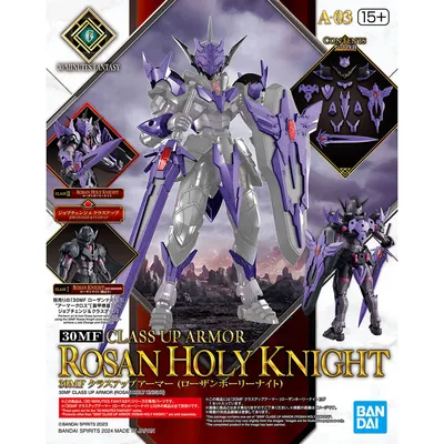 30mf-rosanholyknight-s