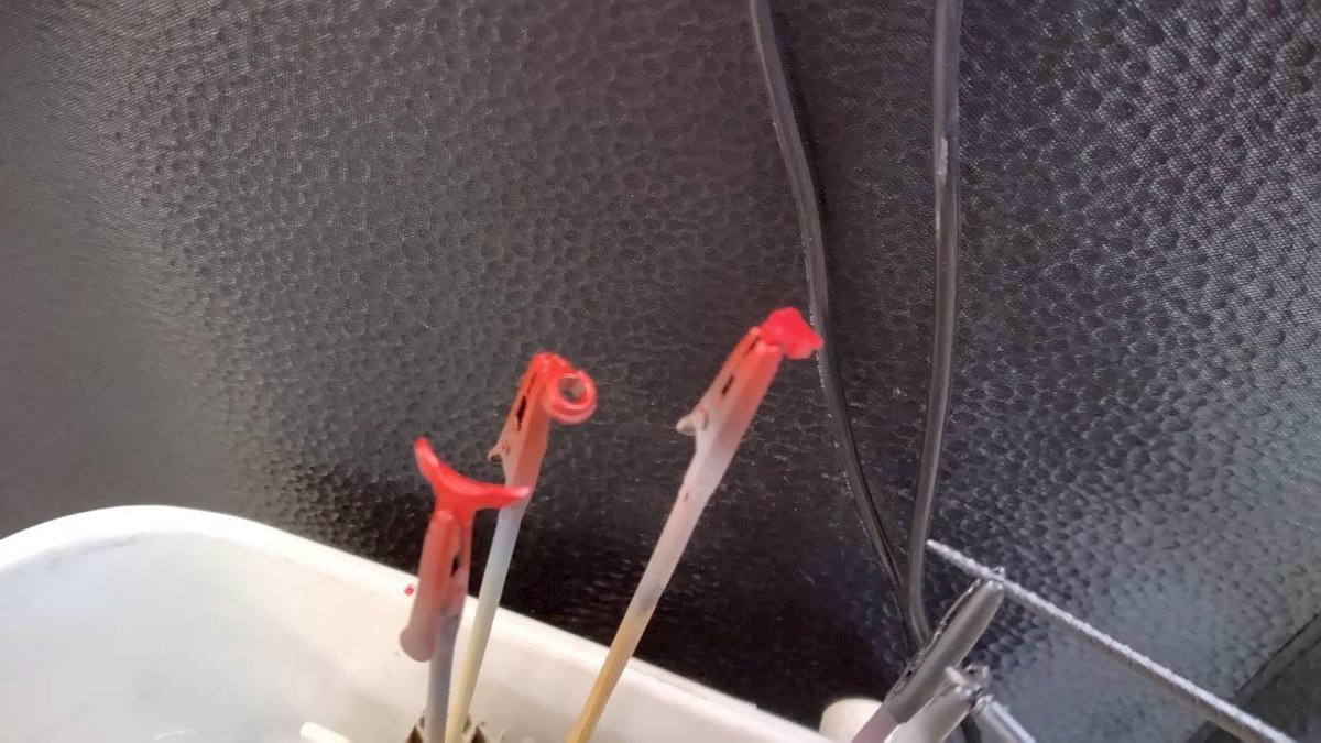 gquuuuuux-masspro-6-tosou-5